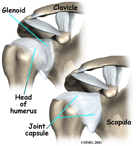 shoulder-arthroplasty-injury